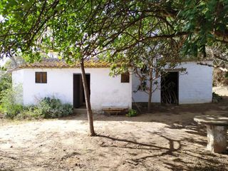 Rural plot Rural, 0. Gran oportunidad!!! Rural plot Rural, 0. Gran oportunidad!!!