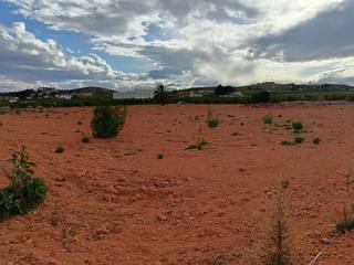 Industrial plot in Fortuna. Parc. ind. en venta en la matanza. Industrial plot in Fortuna. Parc. ind. en venta en la matanza.