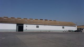 Nave industrial Calle lorca. Nave en la calle lorca el palmar Nave industrial Calle lorca. Nave en la calle lorca el palmar