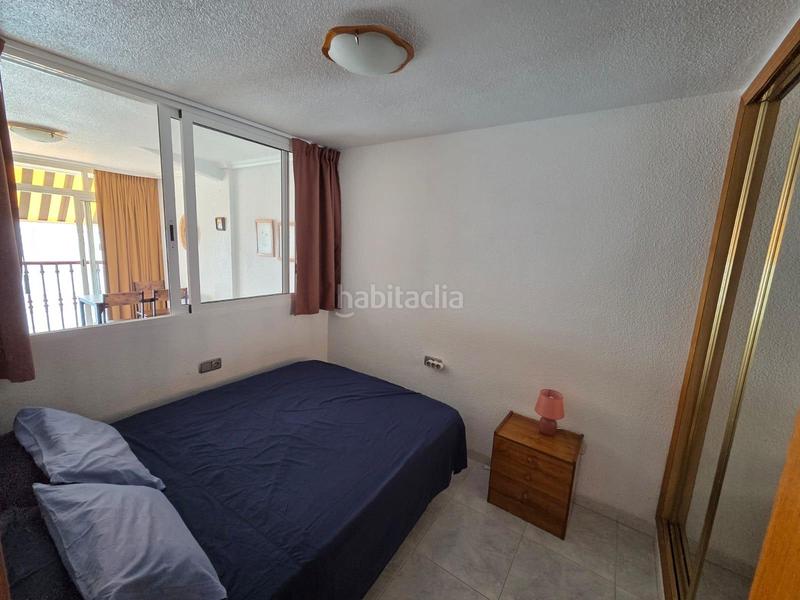 Foto 68463cd0-791a-420b-ac9b-71548bec5791. Piccolo appartamento con riscaldamento parcheggio piscina in Benidorm Foto 68463cd0-791a-420b-ac9b-71548bec5791. Piccolo appartamento con riscaldamento parcheggio piscina in Benidorm