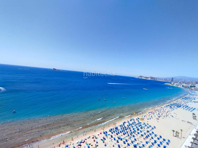 Foto a1e31972-7433-475e-8699-dd5938da2648. Piccolo appartamento con riscaldamento parcheggio piscina in Benidorm Foto a1e31972-7433-475e-8699-dd5938da2648. Piccolo appartamento con riscaldamento parcheggio piscina in Benidorm
