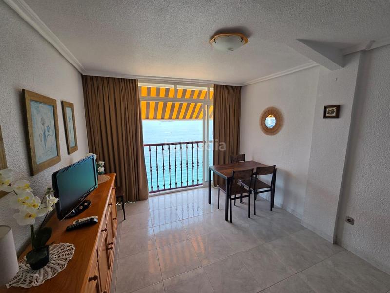 Foto e97e6e34-6090-416b-9f5f-3013cfc3865f. Piccolo appartamento con riscaldamento parcheggio piscina in Benidorm Foto e97e6e34-6090-416b-9f5f-3013cfc3865f. Piccolo appartamento con riscaldamento parcheggio piscina in Benidorm