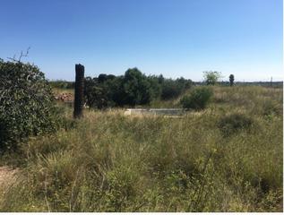 Masía en Pau Lledó. Finca rúst. en venta en norte. Masía en Pau Lledó. Finca rúst. en venta en norte.