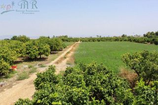 Otros inmuebles en Rojales. Finca de recreo 85 m² en rojales, alicante Otros inmuebles en Rojales. Finca de recreo 85 m² en rojales, alicante
