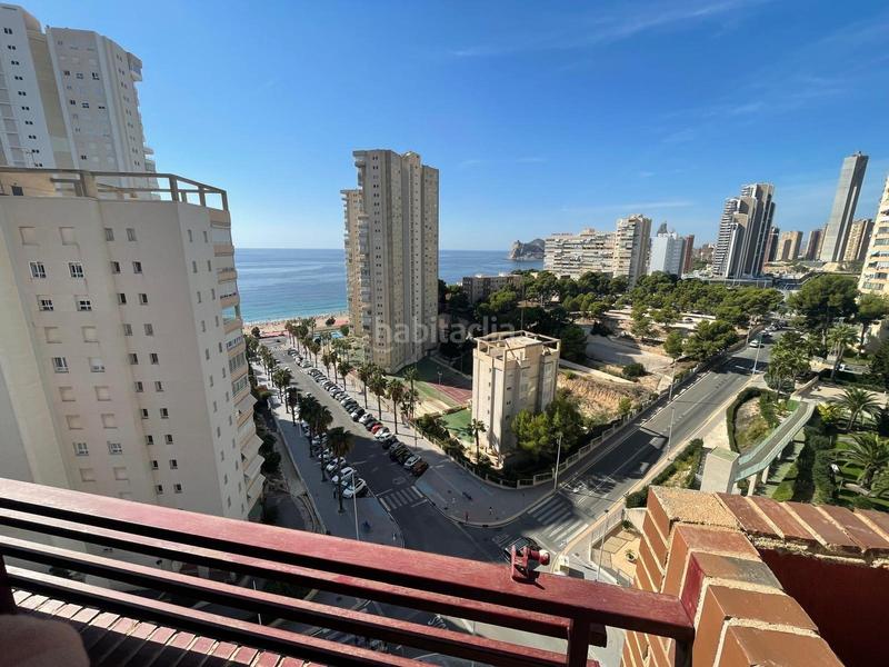 Foto 32a83458-8c97-4018-b8eb-42946c98641b. Piccolo appartamento con parcheggio piscina in Playa Poniente Benidorm Foto 32a83458-8c97-4018-b8eb-42946c98641b. Piccolo appartamento con parcheggio piscina in Playa Poniente Benidorm