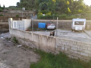 Finca rústica en Potríes. Gran oportunidad Finca rústica en Potríes. Gran oportunidad