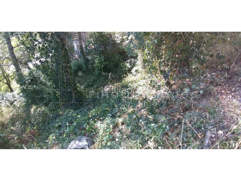 Foto 7d2af244-5570-48ec-9da9-d2596179a7bb. Terreno residenziale in Vacarisses Foto 7d2af244-5570-48ec-9da9-d2596179a7bb. Terreno residenziale in Vacarisses
