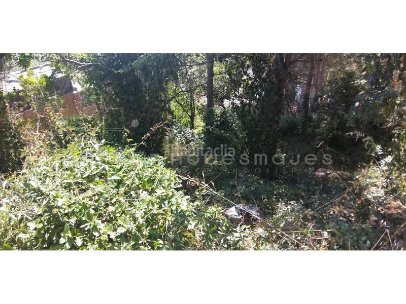 Foto d8cab5bb-049a-4c4b-9fc3-a3f6e203318a. Terreno residenziale in Vacarisses Foto d8cab5bb-049a-4c4b-9fc3-a3f6e203318a. Terreno residenziale in Vacarisses