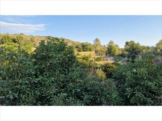 Terreny residencial a Sumacàrcer. La inmobiliaria garrigues exclusivas le ofrece amplia finca agrí Terreny residencial a Sumacàrcer. La inmobiliaria garrigues exclusivas le ofrece amplia finca agrí