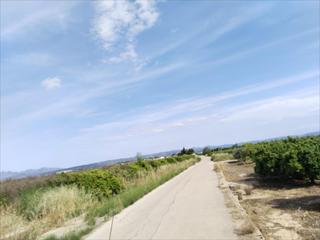 Appartement à Benimuslem. Suelo rústico situado en el municipio benimuslem, provincia de v Appartement à Benimuslem. Suelo rústico situado en el municipio benimuslem, provincia de v