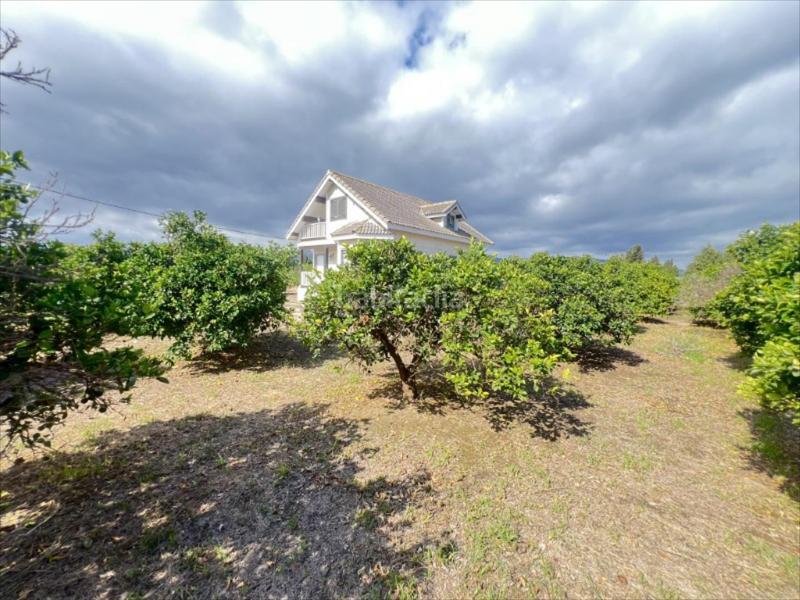 Foto 5cbcdc14-c263-45a6-90fb-9a3d30e20129. House in El Marenyet Cullera Foto 5cbcdc14-c263-45a6-90fb-9a3d30e20129. House in El Marenyet Cullera