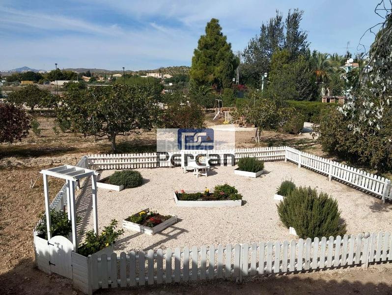Foto 37e11048-1267-4f21-96fb-7f8784b39b91. Rent country house with pool in Campello Playa Campello (el) Foto 37e11048-1267-4f21-96fb-7f8784b39b91. Rent country house with pool in Campello Playa Campello (el)