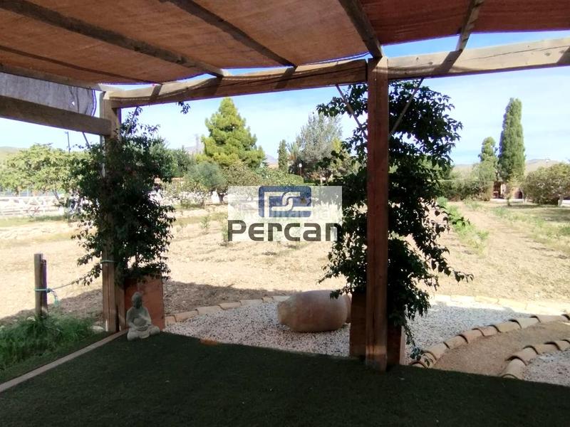 Foto e43b8de8-19e7-4577-9a87-aa41f735b19e. Rent country house with pool in Campello Playa Campello (el) Foto e43b8de8-19e7-4577-9a87-aa41f735b19e. Rent country house with pool in Campello Playa Campello (el)