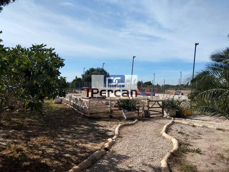 Foto e8309f8b-d31c-4fec-99fd-4c5fb781cbd0. Rent country house with pool in Campello Playa Campello (el) Foto e8309f8b-d31c-4fec-99fd-4c5fb781cbd0. Rent country house with pool in Campello Playa Campello (el)