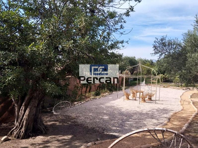 Foto f663f603-01df-4dd7-810d-923aecb60c9b. Location mas avec piscine dans Campello Playa Campello (el) Foto f663f603-01df-4dd7-810d-923aecb60c9b. Location mas avec piscine dans Campello Playa Campello (el)