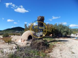 Finca rústica a Centro. Oportunidad!! terreno agricola en plena producción en ontinyent Finca rústica a Centro. Oportunidad!! terreno agricola en plena producción en ontinyent