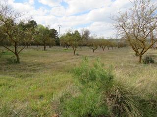 Terreny residencial a Bocairent. Conjunto de parcelas a la venta en bocairent Terreny residencial a Bocairent. Conjunto de parcelas a la venta en bocairent