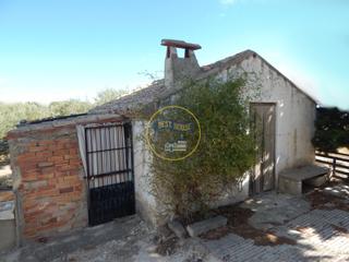 Terreny residencial a Agullent. Terreno con refugio en agullent Terreny residencial a Agullent. Terreno con refugio en agullent