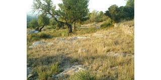 Terreny residencial  Sabato. poligono 7. Ref   20188terreno  en venta en estivella, de 6338 m. precio 12. Terreny residencial  Sabato. poligono 7. Ref   20188terreno  en venta en estivella, de 6338 m. precio 12.