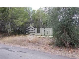 Residential Plot  Pla del chuc. Ref   23302terreno  en venta en sagunto, de 2111 m, zona monte, Residential Plot  Pla del chuc. Ref   23302terreno  en venta en sagunto, de 2111 m, zona monte,