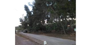 Residential Plot  En camino viejo de teruel. Ref   28301terreno  en venta en sagunto, de 2870 m, zona monte. Residential Plot  En camino viejo de teruel. Ref   28301terreno  en venta en sagunto, de 2870 m, zona monte.