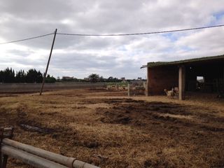 Suelo para equipamiento Carrer palmer, del. Finca rústica en campos de 30000 Suelo para equipamiento Carrer palmer, del. Finca rústica en campos de 30000