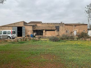 Finca rústica Cami de sa pedra rodona. Rustica a 3k de campos (35000m2) Finca rústica Cami de sa pedra rodona. Rustica a 3k de campos (35000m2)
