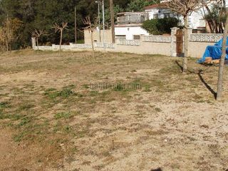 Terreny residencial en Carrer tarongina, 1. Totalmente vallados y planos Terreny residencial en Carrer tarongina, 1. Totalmente vallados y planos