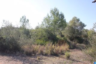 Finca rústica en Creixell mar. Oportunidad bancaria! Finca rústica en Creixell mar. Oportunidad bancaria!