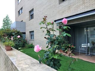 Alquiler Piso Pla de salt. Planta baixa amb jardí Alquiler Piso Pla de salt. Planta baixa amb jardí