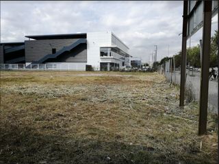 Lloguer Solar industrial Pedrosa. Solar industrial edificable c11a Lloguer Solar industrial Pedrosa. Solar industrial edificable c11a