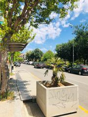 Vistas