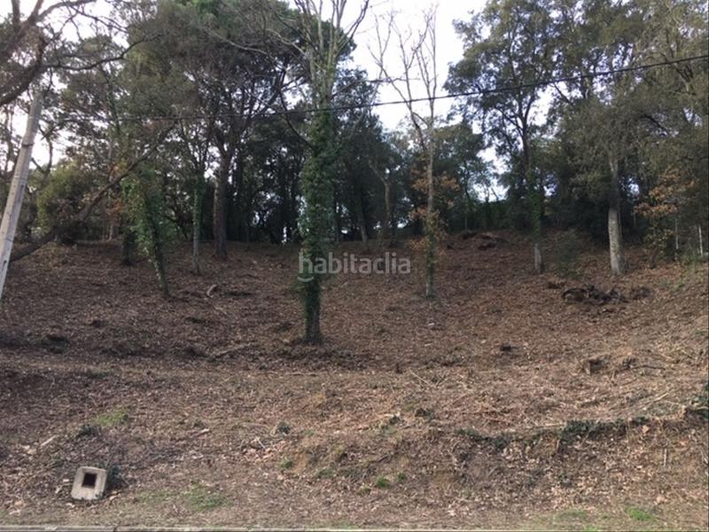 Foto 5aa0435e-c36f-4c4c-a572-c92782c04889. Terreny residencial a Vallgorguina