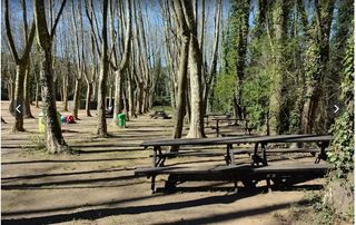 Lloguer Local Comercial a Vallgorguina. Restaurant envoltat de natura amb terrassa, picnic i barbacoa