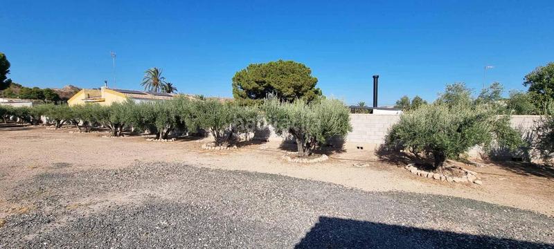 Foto b23f61a2-90c2-4e07-afaa-54ddd1f93519. Chalet  en partida de carrús, elche. en Peña de las Águilas Elche / Elx