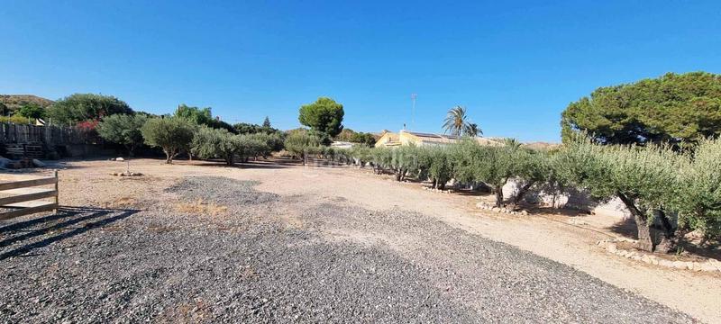 Foto d1fe1b5d-ab93-4eb7-a946-100e009b5b14. Chalet  en partida de carrús, elche. en Peña de las Águilas Elche / Elx
