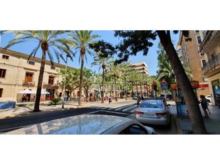 Lloguer Local Comercial  Cami real