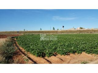 Terreny residencial a Albal