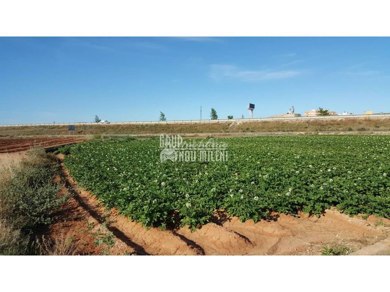 Foto 0ed2c092-0465-4621-aefc-56fa0398c079. Finca rústica a Albal