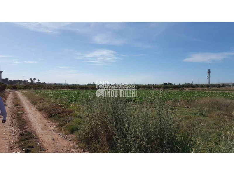 Foto 2106fe37-d425-4c49-b32c-2b741e0a2bd0. Finca rústica a Albal