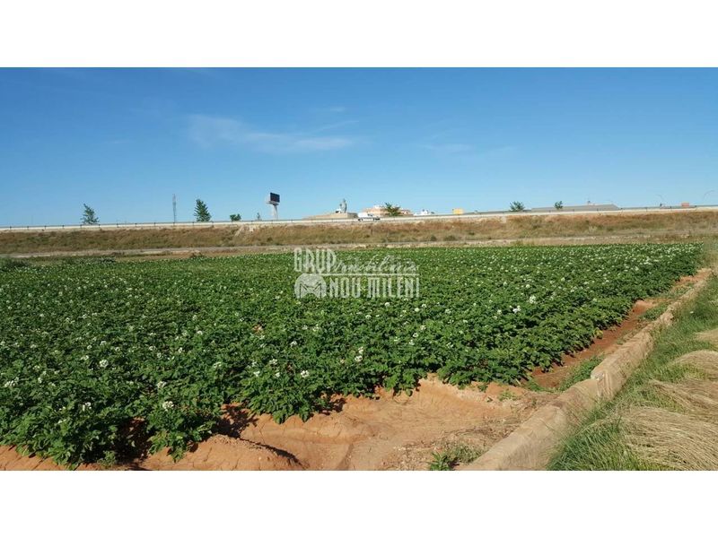 Foto 5e86ff78-ed80-4714-83be-105a86bd0da1. Finca rústica a Albal