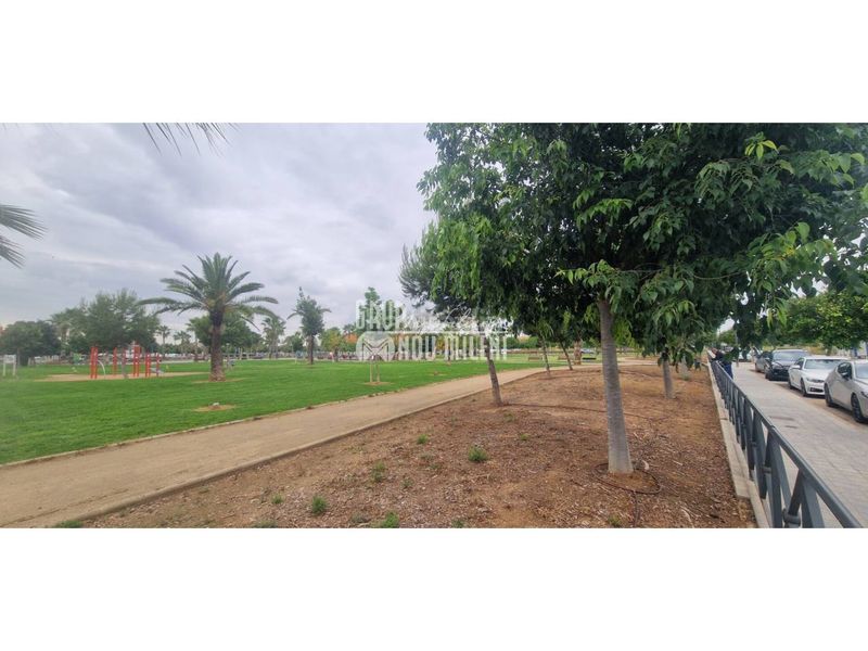Foto 7cd611e3-630e-436d-bed1-c840bc99f661. Finca rústica a calle atleta fausto albiol 5 a Albal
