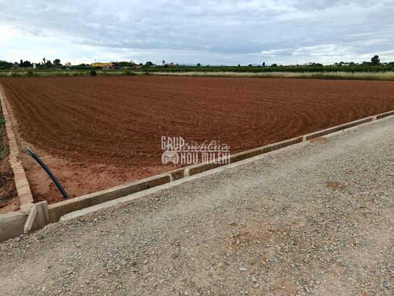 Foto 243fa719-d597-413e-a39e-c95c5ed93329. Finca rústica a Albal