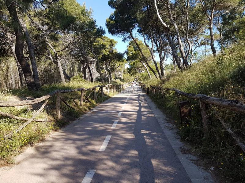 Foto f6666338-6a1c-4189-83f0-ddc5d0ac76fe. Pis a mar 15 a Eixample Residencial Escala (L´)