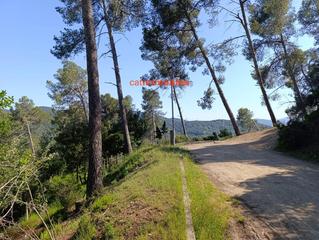 Terreny residencial  Tossa. Terreno en venta en carrer tossa de vallpineda