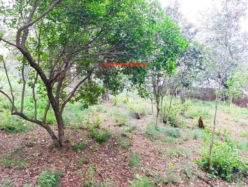 Foto 0813f729-433d-4eeb-a6f6-21cd5abb7594. Terreno residenziale in La Floresta Sant Cugat del Vallès