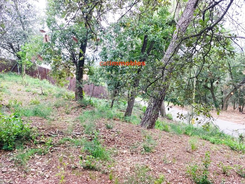 Foto 2252c2d1-0bac-4382-b2f8-ddc87fa922c2. Terreno residenziale in La Floresta Sant Cugat del Vallès
