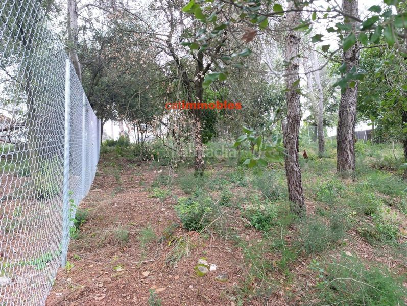 Foto 38bf1fa8-2d8e-4b3d-b6d4-1a566822e78d. Terreno residenziale in La Floresta Sant Cugat del Vallès