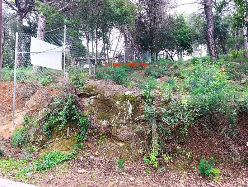 Foto 3ec9a51f-0394-49a8-ab9f-76ba7c24424f. Terreno residenziale in La Floresta Sant Cugat del Vallès