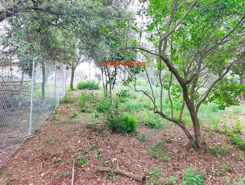 Foto 51cf43ac-8967-4f5b-8759-ec186793bc8a. Terreno residenziale in La Floresta Sant Cugat del Vallès